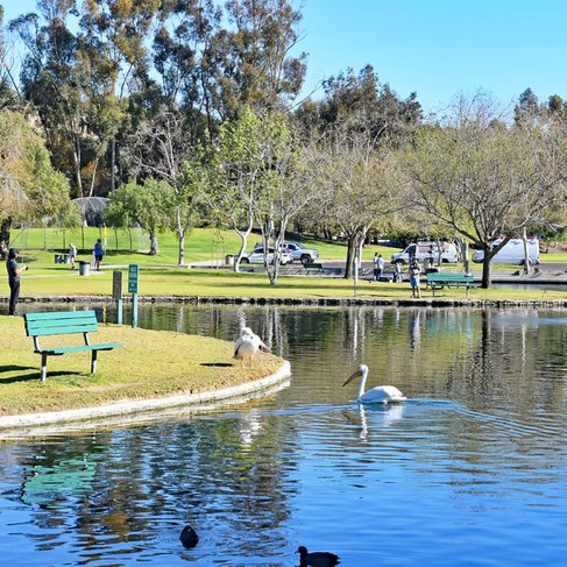 california-anaheim-top-rated-attractions-and-things-to-do-ralph-b-clark-regional-park3